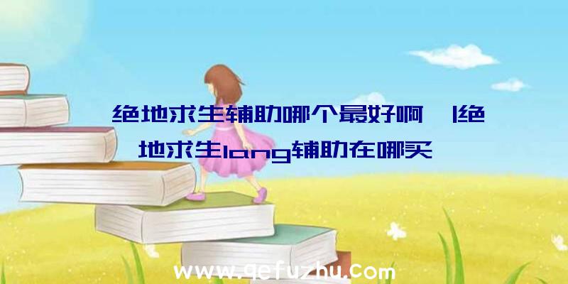 「绝地求生辅助哪个最好啊」|绝地求生lang辅助在哪买